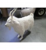 WHITE GOAT 42'' (6186)