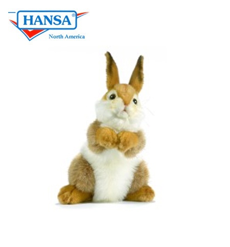 Hansa bunny 2024