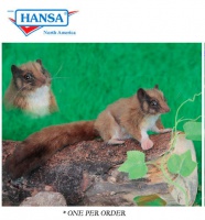 HANSA - Possum -  Leadbeaters (6020)