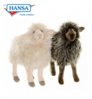 hansa lamb