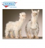 LLAMA,BULL 18'' (3582)