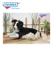 Border Collie Lying 34''L     (4564) - FREE SHIPPING!