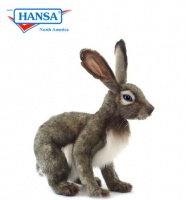 Jack Rabbit Grey (5283)