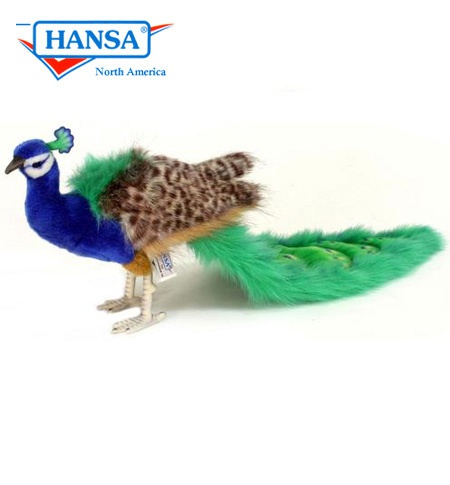 hansa peacock