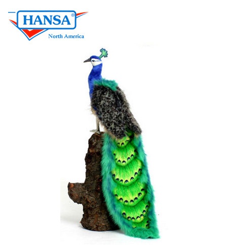 hansa peacock