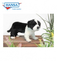 Border Collie Puppy 10''       (5663)