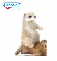 Meerkat Mini Series (5797)