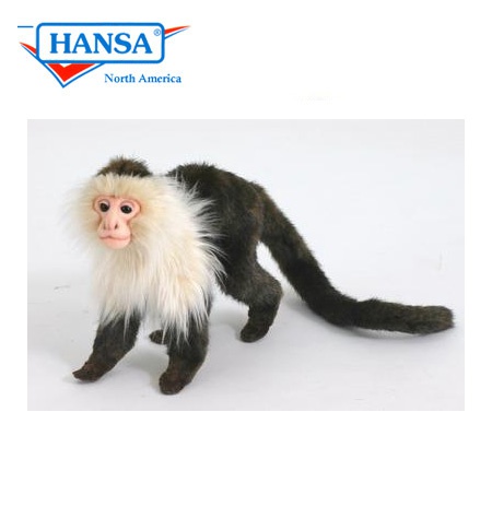 hansa monkey