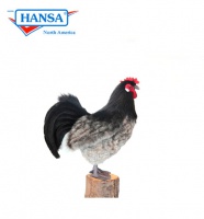Hen Black and Grey (6037)