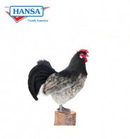 hansa chicken