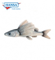 Flying Fish Sharpchin (6049)