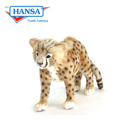 Hansa cheetah cheap