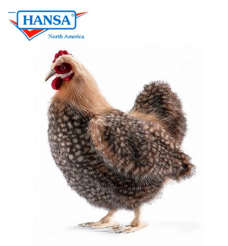 Hansa hen hot sale