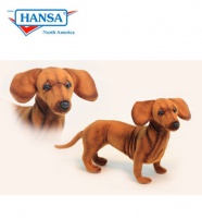 Dachshund Standing (6420)