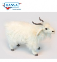 Turkish Long Haired White Goat (6486)