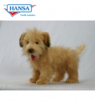 Hansa Terrier Pup Standing Hollandse Smoushound (4217)