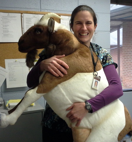 Life sized on sale stuffed goat