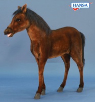 Thoroughbred Foal (5448) - FREE SHIPPING!