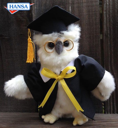 Graduation owl hot sale plush