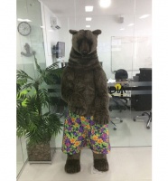 Hawiian Shorts for Grizzly Bear, Giant Lifesize (4042)