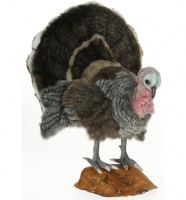 Turkey, Med w/ Stand (6847) - FREE SHIPPING!