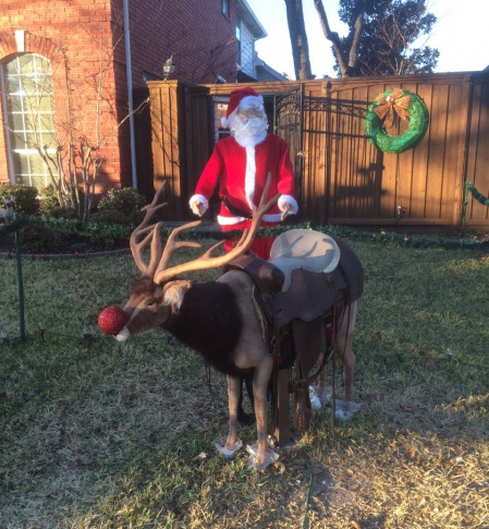 Deer, Extra Large Ride-On (3349)