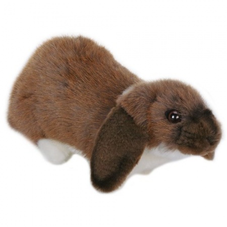 Lop eared best sale bunny stuffed animal