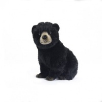 Bear Cub Black 9