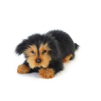 Long Hair Dachshund Waldi (5270)