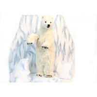 Polar Cub Up On 2 Feet 39