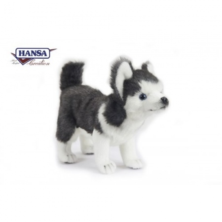 Hansa Toys 5046 Life Size Husky Dog - Black and Beige