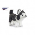 Hansa Husky Dog, Gray Life Size 46L - Endeavour Toys