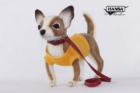 Chihuahua with Yellow Gold Shirt 9