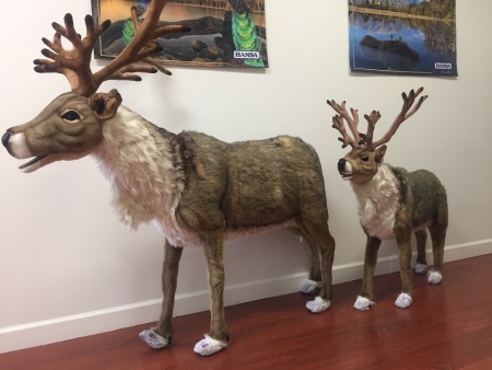 Large store stuffed reindeer