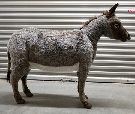 hansa donkey