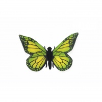 Green Butterfly 5