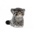Pallas Kitten 12" (7299)