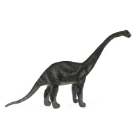 Diamantinasaurus Matildae 24