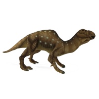 Mutaburasaurus Langdoni 23