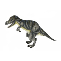 Giganotosaurus 43