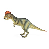 Dilophosaurus 45