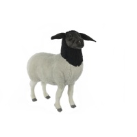 Realistic Stuffed Suffolk Lamb 8