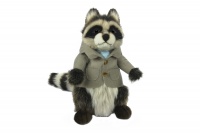 Raccoon Papa 11