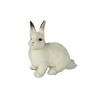 Bunny (White) 13