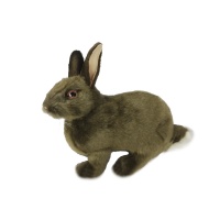 Bunny (Brown) 13