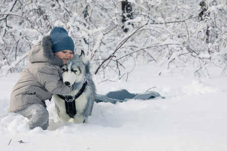 life size husky stuffed animal