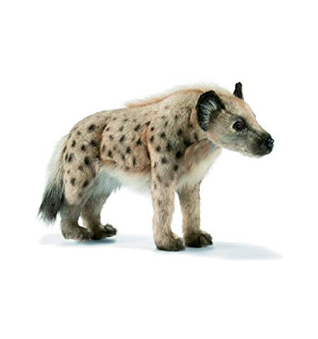 Lifesize Hyena (4933)