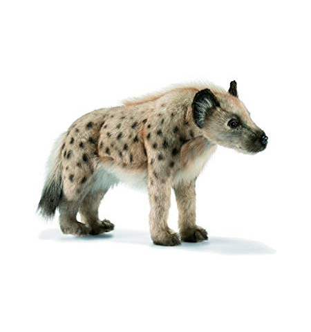 hyena teddy