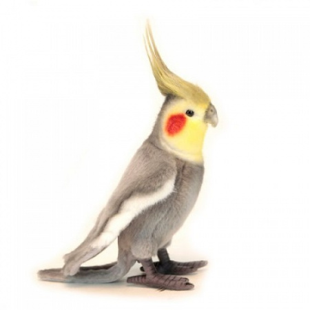 PeGray Cockatiel 10 Plush Dog Toy with Squeaker — Northport Cat Rescue