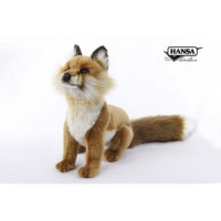 Red Fox Sitting (7353)